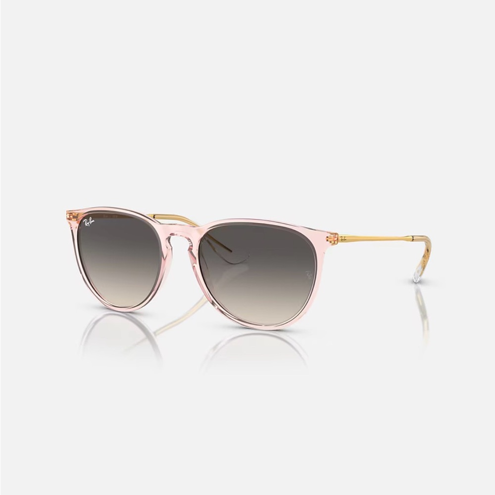 Ray Ban Classic Erika Sunglasses